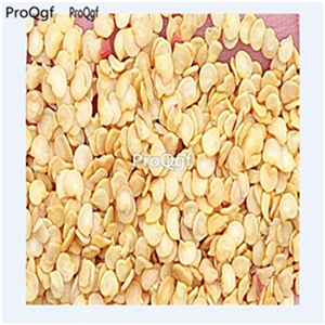 19usd Ngryise 8000Pcs A Set Green Sweet Pepper capsicum seed