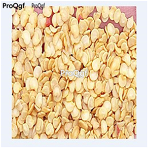 19usd Ngryise 8000Pcs A Set yellow Sweet Pepper capsicum seed