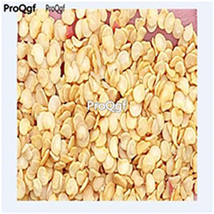 19usd Ngryise 8000Pcs A Set purple Sweet Pepper capsicum seed