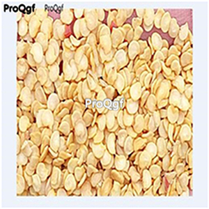19usd Ngryise 8000Pcs A Set white Sweet Pepper capsicum seed