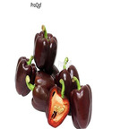 19usd Ngryise 8000Pcs A Set chocolate Sweet Pepper capsicum seed