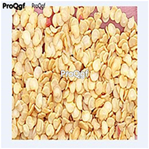 19usd Ngryise 8000Pcs A Set chocolate Sweet Pepper capsicum seed