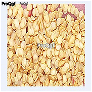 19usd ngryise 8000pcs chao tian jiao chili Pepper capsicum seed
