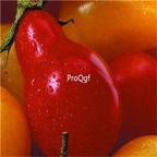 19usd Ngryise 8000Pcs A Set Red Pear Tomato seed