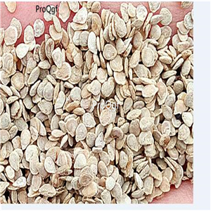 19usd Ngryise 8000Pcs A Set Red Pear Tomato seed