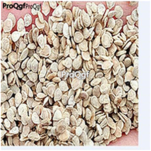 19usd Ngryise 8000Pcs A Set black pearl Tomato seed
