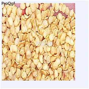 19usd ngryise  8000pcs YELLOW SCOTCH BONNET Jamaican Capsicum seed