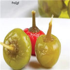 19usd Ngryise 8000Pcs A Set Bombita F1 Hybrid Pepper  seed