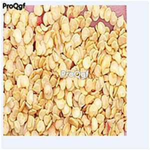 19usd ngryise 8000pcs Orange Trinidad Scorpion Pepper seed