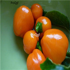 19usd ngryise 8000pcs Miniature Orange Bell Capsicum  seed