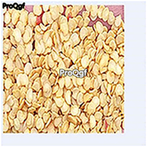 19usd ngryise 8000pcs Spanish Mammoth Pepper  seed