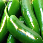 19usd Ngryise 8000Pcs A Set Early Jalapeno Pepper seed