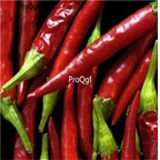 19usd Ngryise 8000Pcs A Set  Diabloo Grande F1 Hybrid Hot Pepper  seed