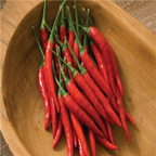 19usd ngryise 8000pcs Bangkok F1 Hybrid Pepper seed