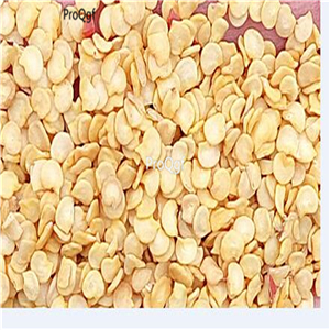 19usd ngryise 8000pcs Habaneros Habanero Pepper seed