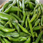 19usd ngryise 8000pcs Korean Long Green F1 Hybrid Hot Pepper seed
