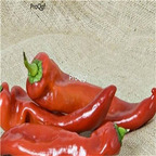 19usd ngryise 8000pcs Boldog Hungarian Spice Paprika  seed