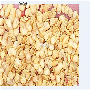 19usd ngryise 8000pcs Tiny brilliantly red chile pepper seed