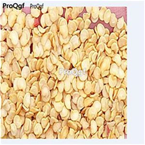 19usd ngryise 8000pcs Zimbabwe Birds Eye Chili pepper seed
