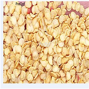 19usd ngryise 8000pcs Argentina Heirloom Giant Aconcagua Sweet Pepper seed