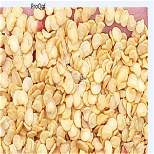 19usd ngryise 8000pcs Chichimeca Hybrid Hot Pepper seed