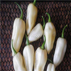 19usd ngryise 8000pcs White Ghost Pepper bhut jolokia seed