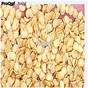19usd ngryise 8000pcs BLACK CAYMAN Pepper seed