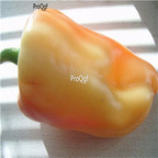 19usd ngryise 8000pcs GIANT SZEGEDI PEPPER seed