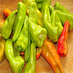 19usd ngryise 8000pcs BANANA PEPPER  seed