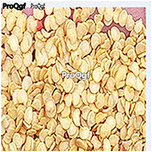 19usd ngryise 8000pcs Jalapeno Pepper seed