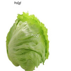 19usd Ngryise 5000Pcs A Set  round lettuce seed