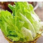 19usd Ngryise 5000Pcs A Set guangdong lettuce seed