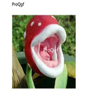 19usd Ngryise 500Pcs A Set mouth fly trap seed