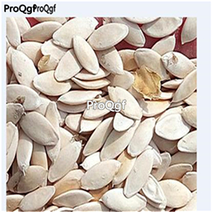 19usd Ngryise 5000Pcs A Set Organic Gherkin Pickling Cucumber  seed