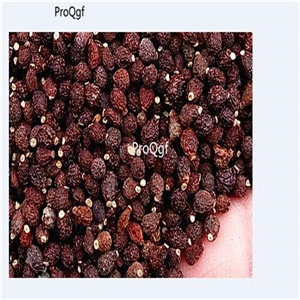 19usd Ngryise 2000Pcs A Set Rare Monkey Orchid  seed