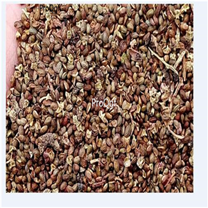 19usd Ngryise 8000Pcs A Set Raspberry Blackberry seed