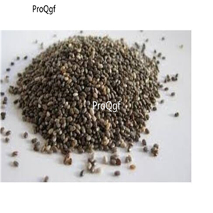 19usd Ngryise 100Pcs A Set Rare Black Figs  seed