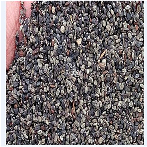 19usd Ngryise 6000Pcs A Set  Fragrant Sweet Basil  seed