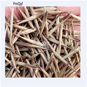 19usd Ngryise 2000Pcs A Set Tortoise Shell Bamboo seed