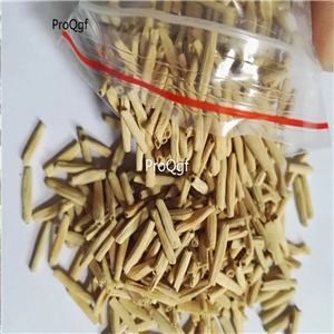 19usd Ngryise 50Pcs A Set  Unique Gold Red Mixed  seed