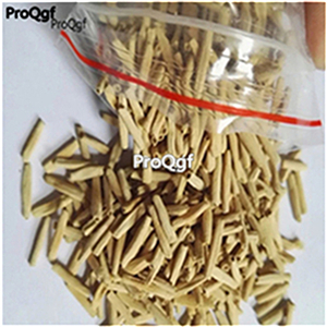19usd ngryise 50pcs Swaziland Princess Sabi Star Gemini desert rose seed