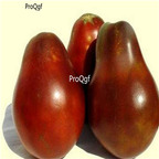 19usd Ngryise 8000Pcs A Set Japanese Black Trifele truffle Tomato seed