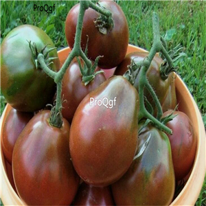 19usd ngryise 8000pcs Black Trifele Tomato seed