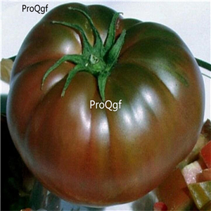 19usd Ngryise 8000Pcs A Set  Black Krim Tomato seed