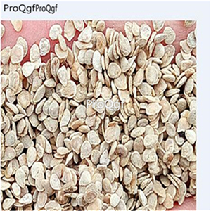 19usd ngryise 8000pcs Sun Kissed F1 Hybrid Tomato  seed