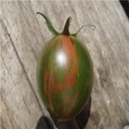 19usd ngryise 8000pcs Purple Bumblebee heirloom tomato seed