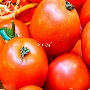 19usd ngryise 8000pcs Ultra Sweet F1 Hybrid Tomato  seed