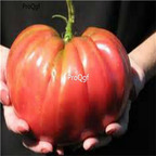 19usd Ngryise 8000Pcs A Set Red Brandywine Heirloom Tomato seed