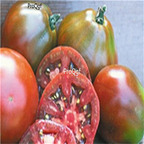 19usd ngryise 8000pcs Black Truffle Tomato  seed
