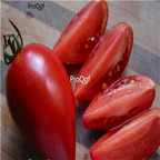 19usd Ngryise 8000Pcs A Set Amish Paste tomato seed